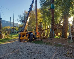 Dressage de la grume