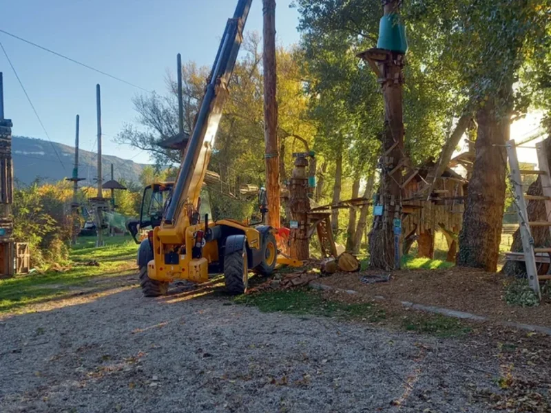 Dressage de la grume