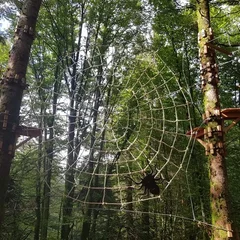 Construction de parcours acrobatiques en hauteur et accrobranches