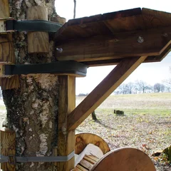 Construction de parcours acrobatiques en hauteur et accrobranches