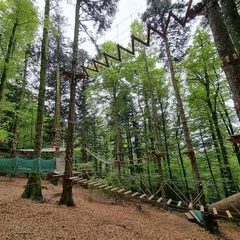 Construction de parcours acrobatiques en hauteur et accrobranches